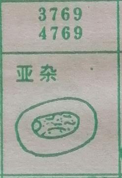 亚杂 梦兆图