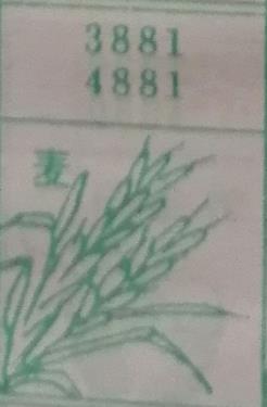 麦 梦兆图