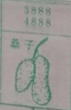 桑子 梦兆图