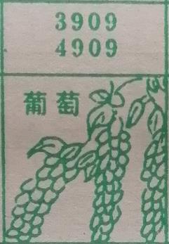 葡萄 梦兆图