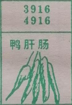 鸭肝肠 梦兆图