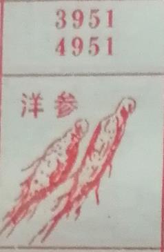 洋参 梦兆图