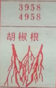 胡椒根 梦兆图