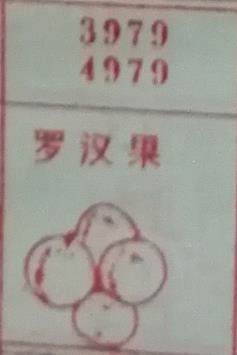 罗汉果 梦兆图