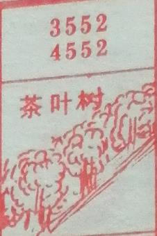 茶叶树 梦兆图