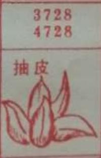 抽皮 梦兆图