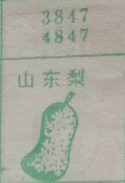 山东梨 梦兆图