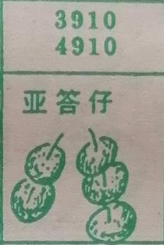 亚答仔 梦兆图