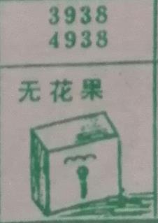 无花果 梦兆图