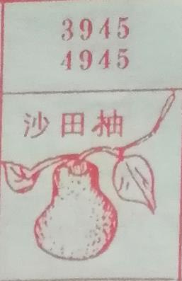 沙田柚 梦兆图
