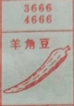 羊角豆 梦兆图