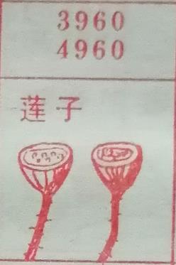 莲子 梦兆图