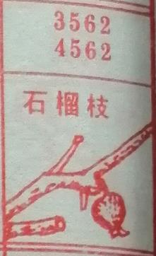 石榴枝 梦兆图
