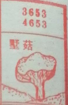 树菇 梦兆图