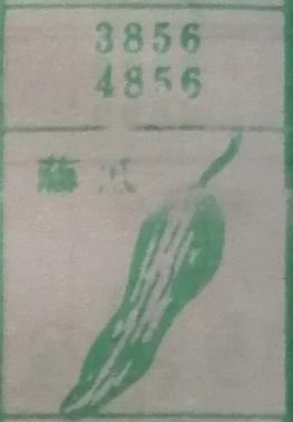 藤瓜 梦兆图