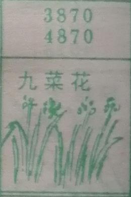 韭菜花 梦兆图