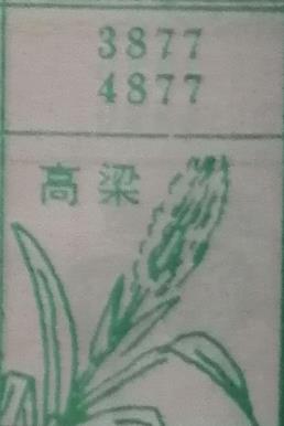 高粱 梦兆图