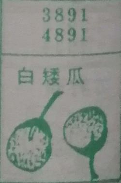 白矮瓜 梦兆图