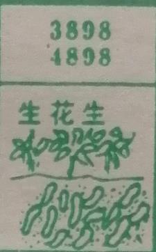 生花生 梦兆图