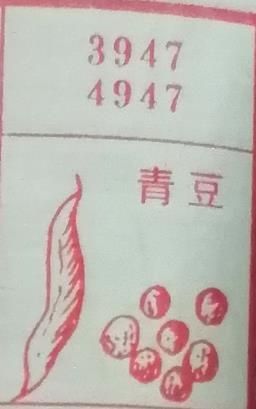青豆 梦兆图2