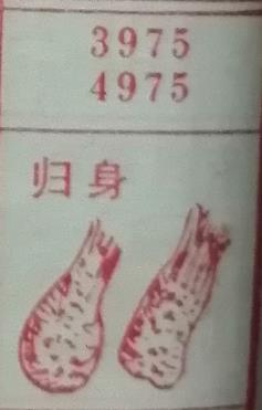 归身 梦兆图