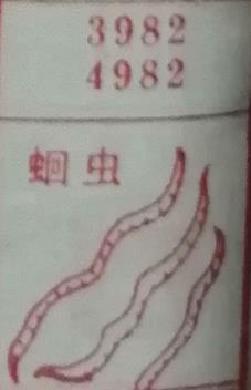 蛔虫 梦兆图