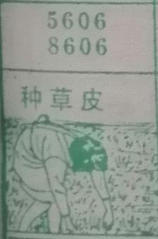 种草皮 梦兆图