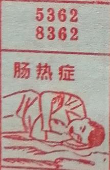 肠热症 梦兆图
