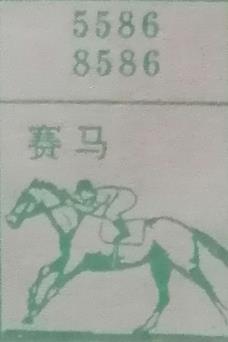 赛马 梦兆图
