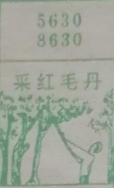 采红毛丹 梦兆图
