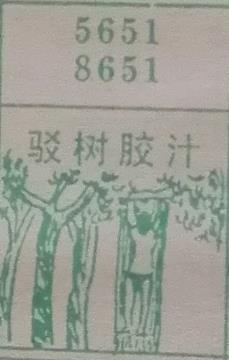 驳树胶汁 梦兆图