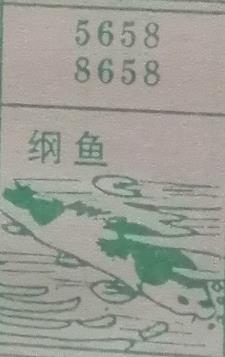 纲鱼 梦兆图