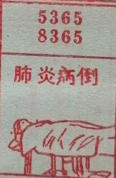 肺炎病倒 梦兆图