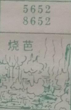 烧芭 梦兆图