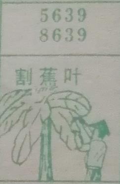 割蕉叶 梦兆图