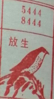 放生 梦兆图