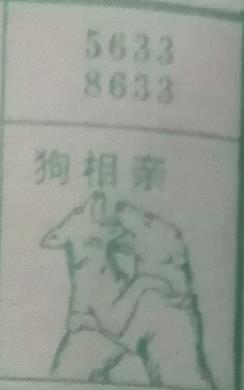 狗相亲 梦兆图