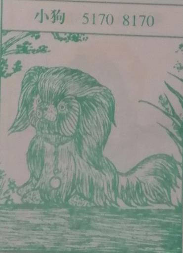 小狗 梦兆图