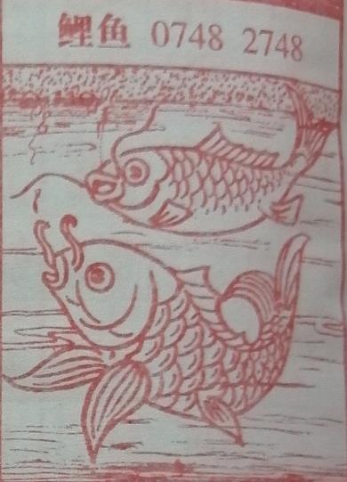 鲤鱼 梦兆图2