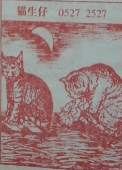 猫生仔 梦兆图2